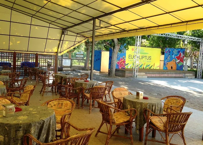 Camping & Village Eucaliptus *